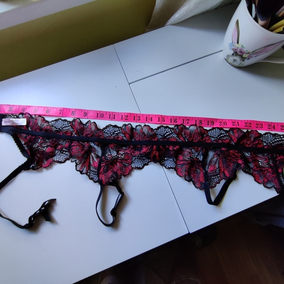 La Senza Garter Belts (NWOT) - Picture 4 of 8